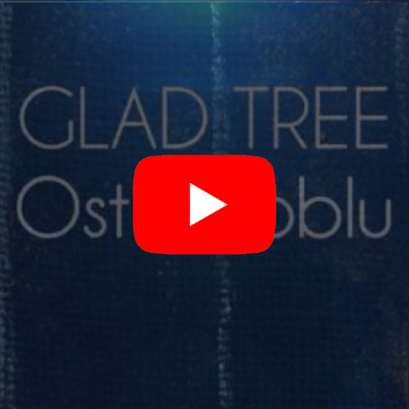 GLAD TREE – Ostinato (Official Video)